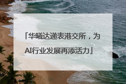 华曦达递表港交所，为AI行业发展再添活力