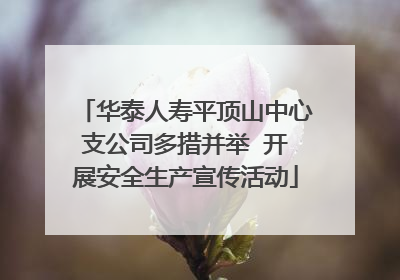 华泰人寿平顶山中心支公司多措并举  开展安全生产宣传活动