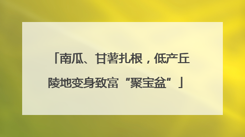 南瓜、甘薯扎根，低产丘陵地变身致富“聚宝盆”