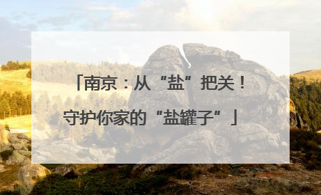 南京：从“盐”把关！守护你家的“盐罐子”