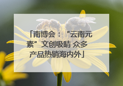 南博会：“云南元素”文创吸睛 众多产品热销海内外