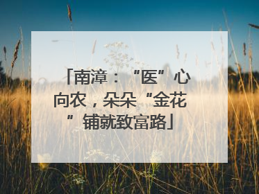 南漳：“医”心向农，朵朵“金花”铺就致富路