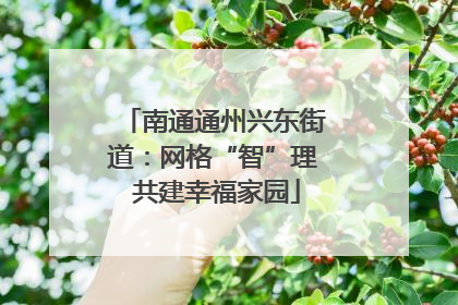 南通通州兴东街道：网格“智”理 共建幸福家园