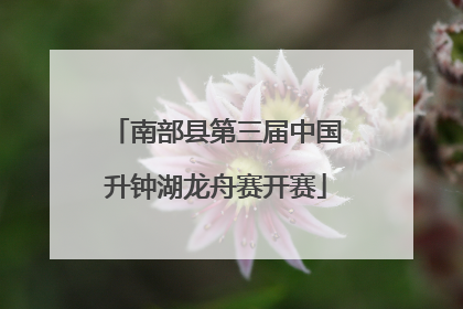南部县第三届中国升钟湖龙舟赛开赛