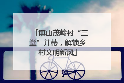 博山茂岭村“三堂”并蒂，解锁乡村文明新风