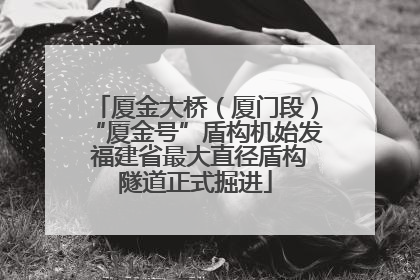 厦金大桥（厦门段）“厦金号”盾构机始发 福建省最大直径盾构隧道正式掘进