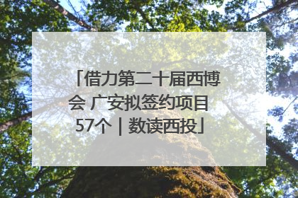 借力第二十届西博会 广安拟签约项目57个｜数读西投