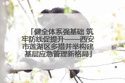 健全体系强基础 筑牢防线促提升——西安市莲湖区多措并举构建基层应急管理新格局