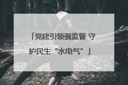党建引领强监管 守护民生“水电气”