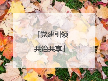 党建引领 共治共享