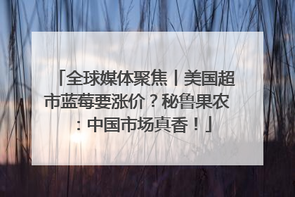 全球媒体聚焦丨美国超市蓝莓要涨价？秘鲁果农：中国市场真香！