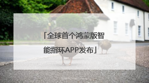 全球首个鸿蒙版智能指环APP发布