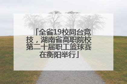 全省19校同台竞技，湖南省高职院校第二十届职工篮球赛在衡阳举行
