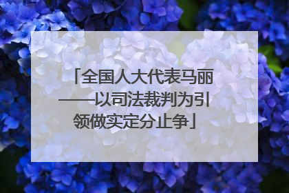 全国人大代表马丽——以司法裁判为引领做实定分止争
