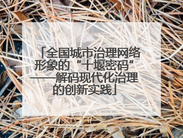 全国城市治理网络形象的“十堰密码”——解码现代化治理的创新实践