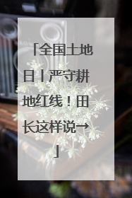 全国土地日丨严守耕地红线！田长这样说→