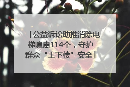 公益诉讼助推消除电梯隐患114个，守护群众“上下楼”安全