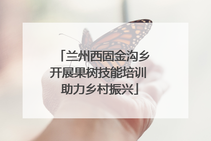 兰州西固金沟乡开展果树技能培训 助力乡村振兴
