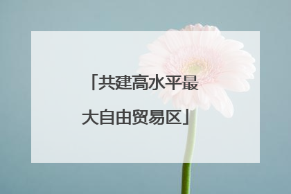 共建高水平最大自由贸易区