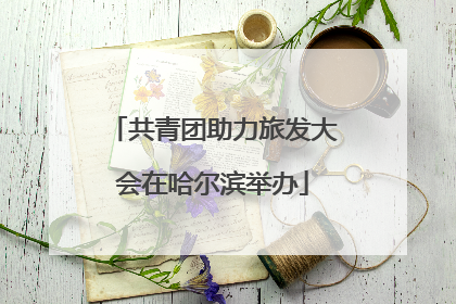 共青团助力旅发大会在哈尔滨举办