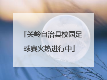 关岭自治县校园足球赛火热进行中