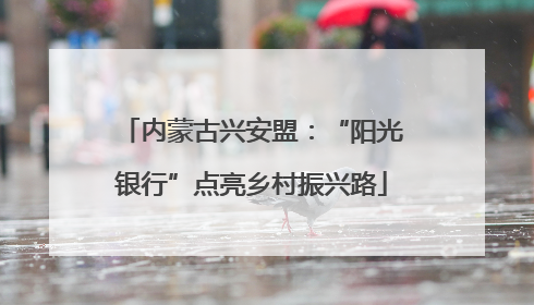 内蒙古兴安盟：“阳光银行”点亮乡村振兴路