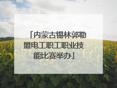 内蒙古锡林郭勒盟电工职工职业技能比赛举办