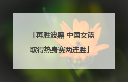 再胜波黑 中国女篮取得热身赛两连胜
