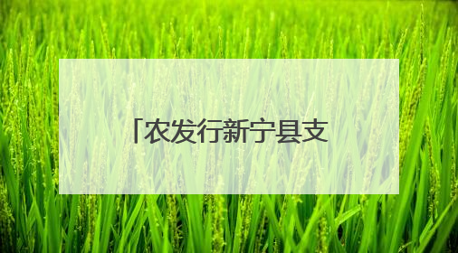 农发行新宁县支行开展“民法典进企业”普法宣传
