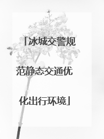 冰城交警规范静态交通优化出行环境