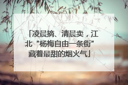 凌晨摘、清晨卖，江北“杨梅自由一条街”藏着最甜的烟火气