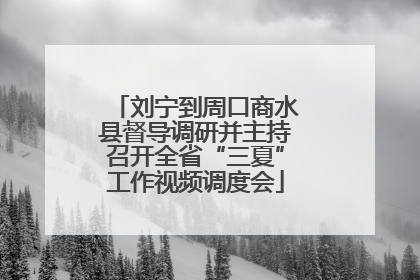 刘宁到周口商水县督导调研并主持召开全省“三夏”工作视频调度会