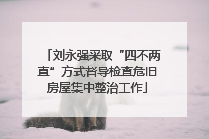 刘永强采取“四不两直”方式督导检查危旧房屋集中整治工作
