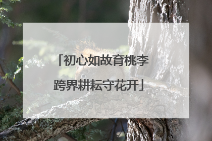 初心如故育桃李 跨界耕耘守花开