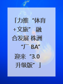 力推“体育+文旅” 融合发展 株洲“厂 BA”迎来“3.0 升级版”