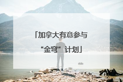 加拿大有意参与“金穹”计划