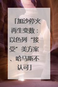 加沙停火再生变数：以色列“接受”美方案、哈马斯不认可