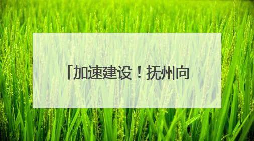 加速建设！抚州向全国新能源汽车区域制造中心迈进