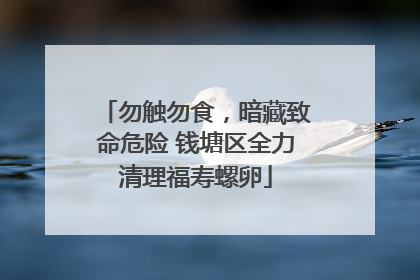 勿触勿食，暗藏致命危险 钱塘区全力清理福寿螺卵
