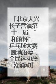 北京大兴长子营镇第十一届 “和谐杯” 乒乓球大赛圆满落幕，全民运动热潮涌动