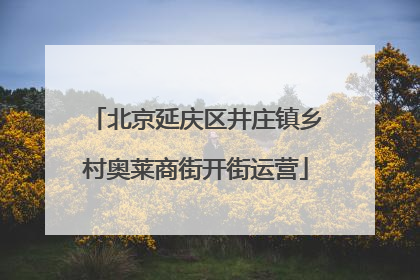 北京延庆区井庄镇乡村奥莱商街开街运营