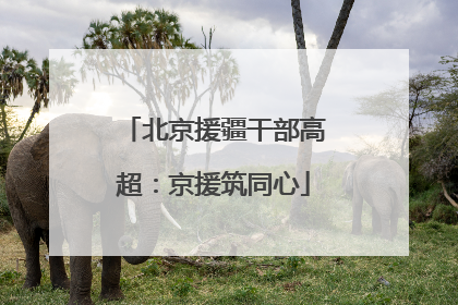 北京援疆干部高超：京援筑同心