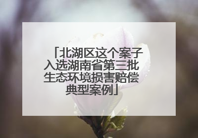 北湖区这个案子入选湖南省第三批生态环境损害赔偿典型案例