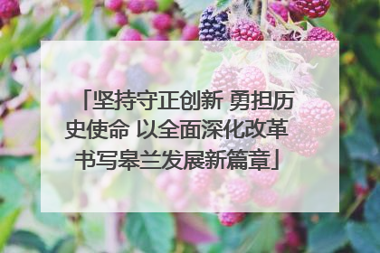 坚持守正创新 勇担历史使命 以全面深化改革书写皋兰发展新篇章