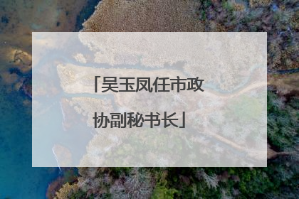 吴玉凤任市政协副秘书长