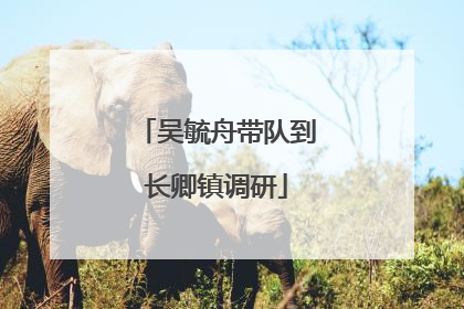 吴毓舟带队到长卿镇调研