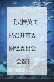 吴桂英主持召开市委财经委员会会议