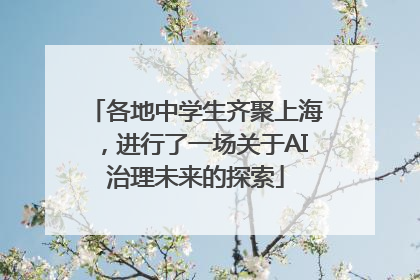 各地中学生齐聚上海，进行了一场关于AI治理未来的探索