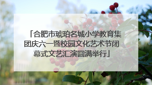 合肥市琥珀名城小学教育集团庆六一暨校园文化艺术节闭幕式文艺汇演圆满举行