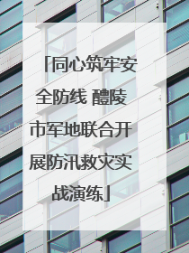 同心筑牢安全防线 醴陵市军地联合开展防汛救灾实战演练